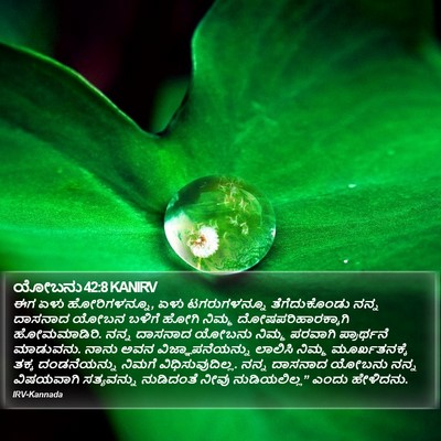 ಯೋಬನು 42:8 KANIRV Bible Verse Image