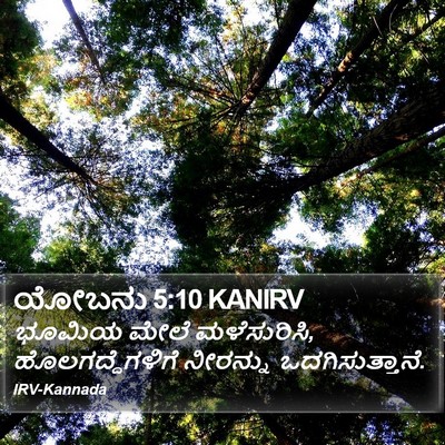 ಯೋಬನು 5:10 KANIRV Bible Verse Image
