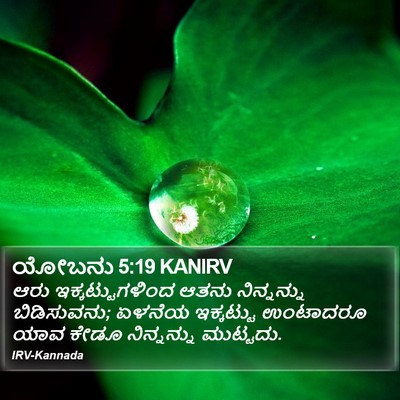 ಯೋಬನು 5:19 KANIRV Bible Verse Image
