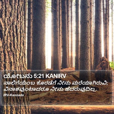 ಯೋಬನು 5:21 KANIRV Bible Verse Image