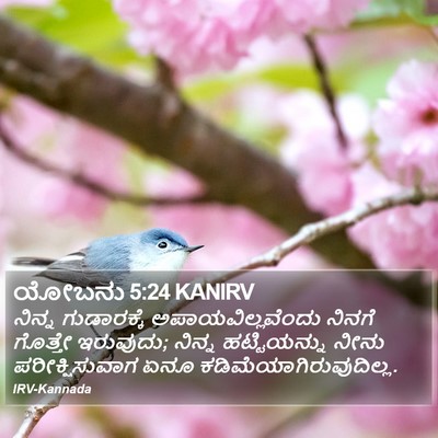 ಯೋಬನು 5:24 KANIRV Bible Verse Image