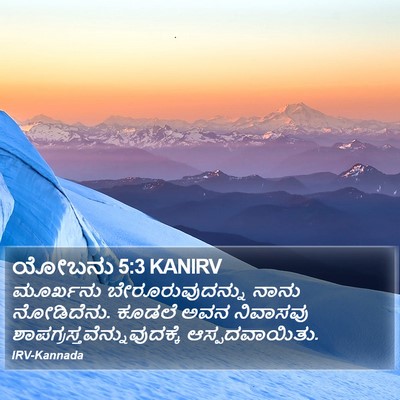 ಯೋಬನು 5:3 KANIRV Bible Verse Image