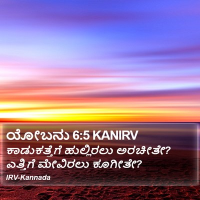 ಯೋಬನು 6:5 KANIRV Bible Verse Image