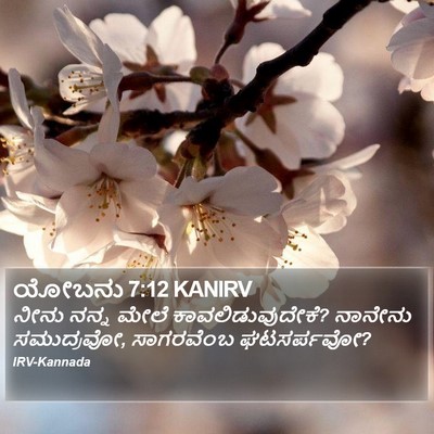 ಯೋಬನು 7:12 KANIRV Bible Verse Image