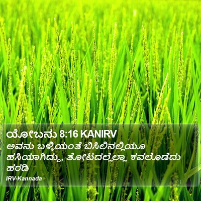 ಯೋಬನು 8:16 KANIRV Bible Verse Image