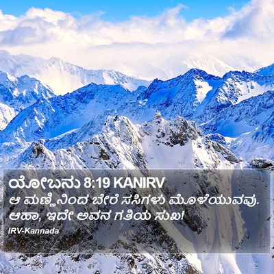 ಯೋಬನು 8:19 KANIRV Bible Verse Image