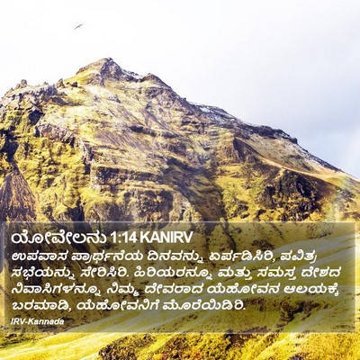 ಯೋವೇಲನು 1:14 KANIRV Bible Verse Image