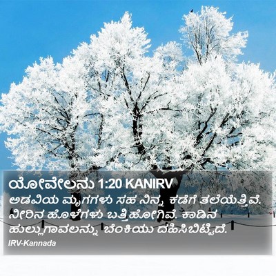 ಯೋವೇಲನು 1:20 KANIRV Bible Verse Image