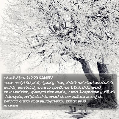 ಯೋವೇಲನು 2:20 KANIRV Bible Verse Image