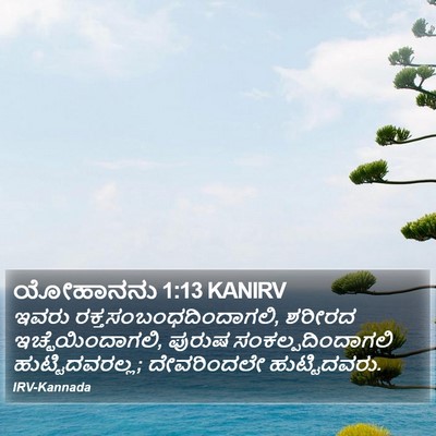 ಯೋಹಾನನು 1:13 KANIRV Bible Verse Image