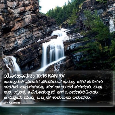 ಯೋಹಾನನು 10:16 KANIRV Bible Verse Image