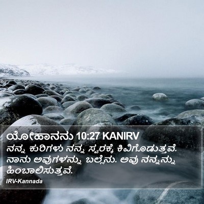 ಯೋಹಾನನು 10:27 KANIRV Bible Verse Image