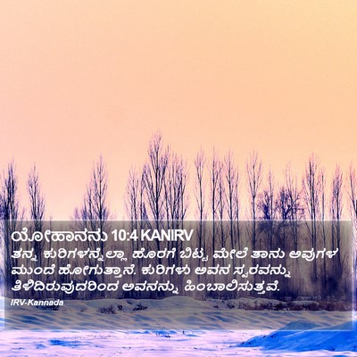 ಯೋಹಾನನು 10:4 KANIRV Bible Verse Image