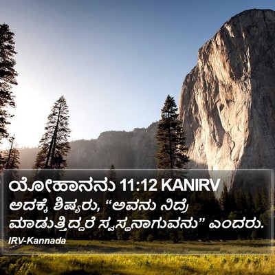 ಯೋಹಾನನು 11:12 KANIRV Bible Verse Image