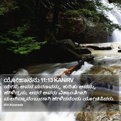 ಯೋಹಾನನು 11:13 KANIRV Bible Verse Image