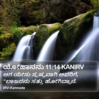 ಯೋಹಾನನು 11:14 KANIRV Bible Verse Image