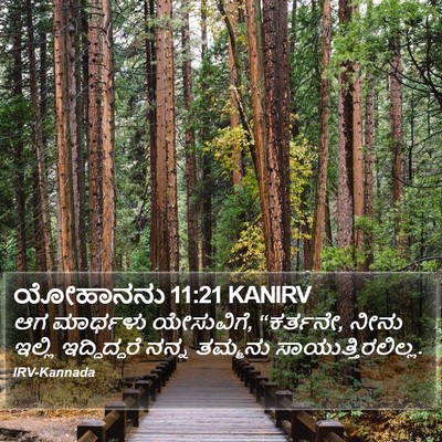ಯೋಹಾನನು 11:21 KANIRV Bible Verse Image
