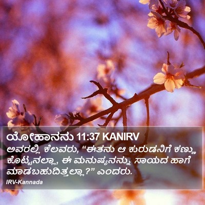ಯೋಹಾನನು 11:37 KANIRV Bible Verse Image