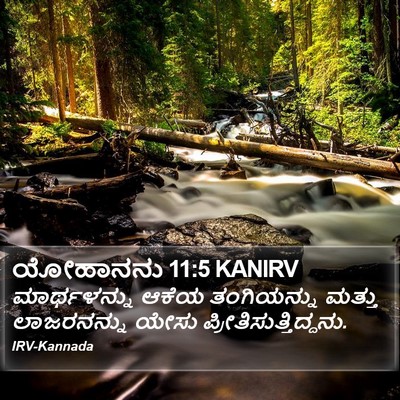ಯೋಹಾನನು 11:5 KANIRV Bible Verse Image
