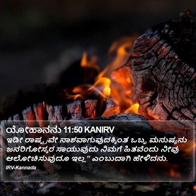 ಯೋಹಾನನು 11:50 KANIRV Bible Verse Image