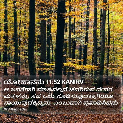 ಯೋಹಾನನು 11:52 KANIRV Bible Verse Image