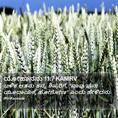 ಯೋಹಾನನು 11:7 KANIRV Bible Verse Image