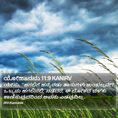 ಯೋಹಾನನು 11:9 KANIRV Bible Verse Image