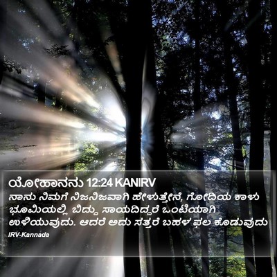 ಯೋಹಾನನು 12:24 KANIRV Bible Verse Image