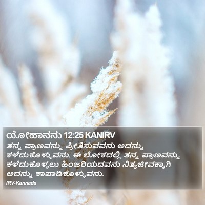 ಯೋಹಾನನು 12:25 KANIRV Bible Verse Image
