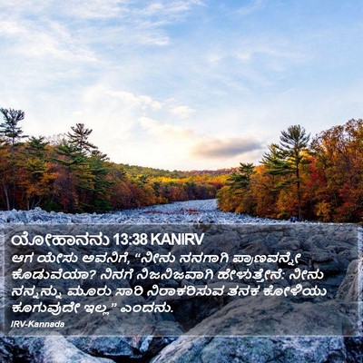 ಯೋಹಾನನು 13:38 KANIRV Bible Verse Image