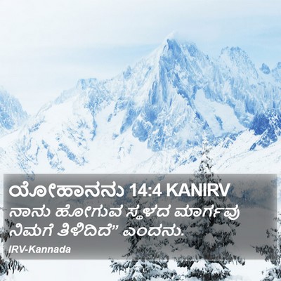 ಯೋಹಾನನು 14:4 KANIRV Bible Verse Image