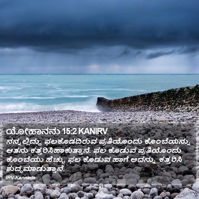 ಯೋಹಾನನು 15:2 KANIRV Bible Verse Image