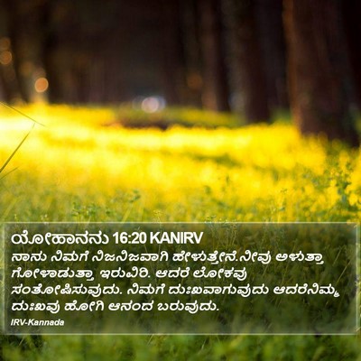 ಯೋಹಾನನು 16:20 KANIRV Bible Verse Image