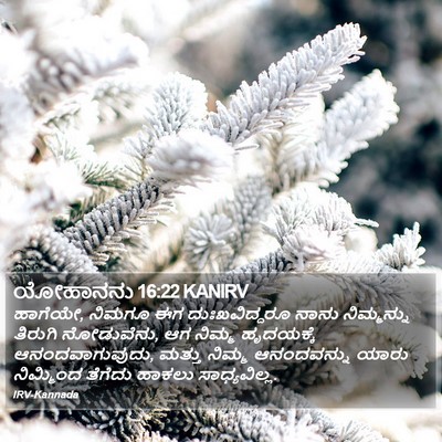 ಯೋಹಾನನು 16:22 KANIRV Bible Verse Image