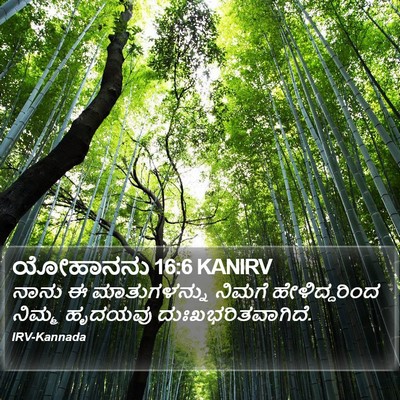 ಯೋಹಾನನು 16:6 KANIRV Bible Verse Image