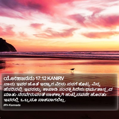 ಯೋಹಾನನು 17:12 KANIRV Bible Verse Image
