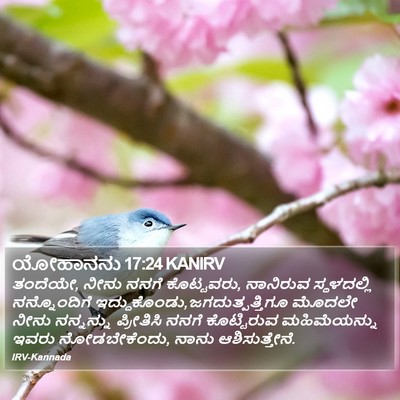 ಯೋಹಾನನು 17:24 KANIRV Bible Verse Image