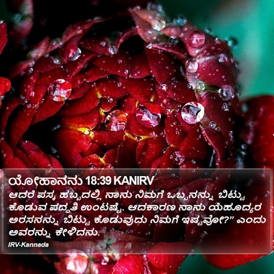 ಯೋಹಾನನು 18:39 KANIRV Bible Verse Image