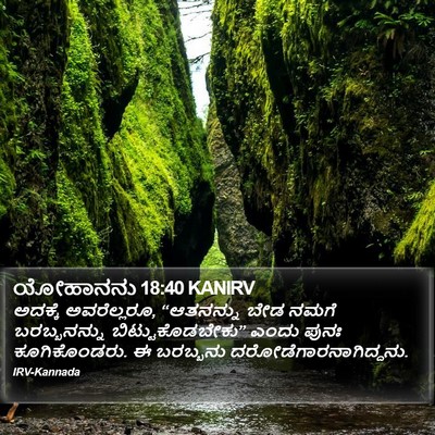 ಯೋಹಾನನು 18:40 KANIRV Bible Verse Image