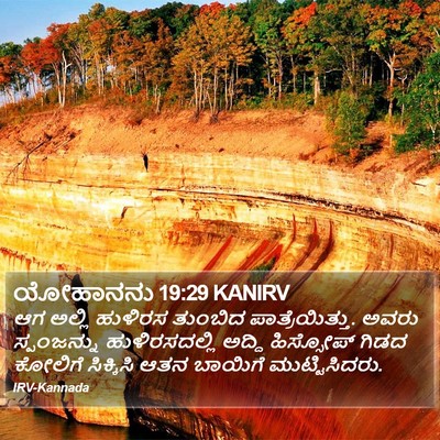 ಯೋಹಾನನು 19:29 KANIRV Bible Verse Image