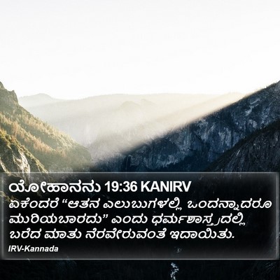ಯೋಹಾನನು 19:36 KANIRV Bible Verse Image