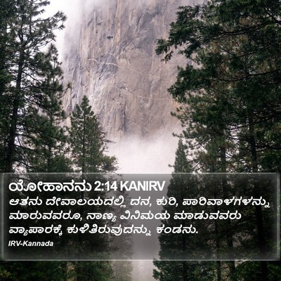 ಯೋಹಾನನು 2:14 KANIRV Bible Verse Image