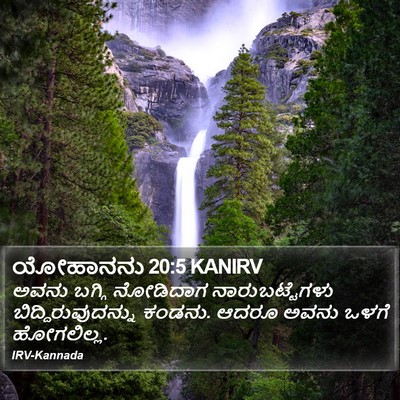 ಯೋಹಾನನು 20:5 KANIRV Bible Verse Image