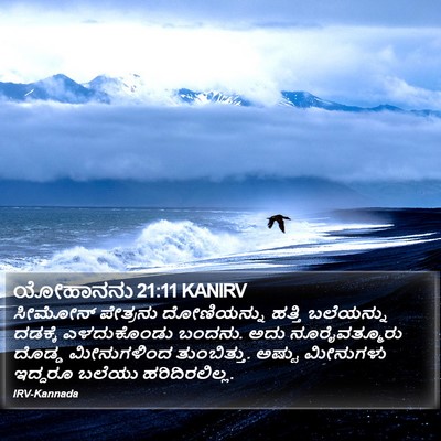 ಯೋಹಾನನು 21:11 KANIRV Bible Verse Image