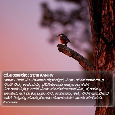 ಯೋಹಾನನು 21:18 KANIRV Bible Verse Image