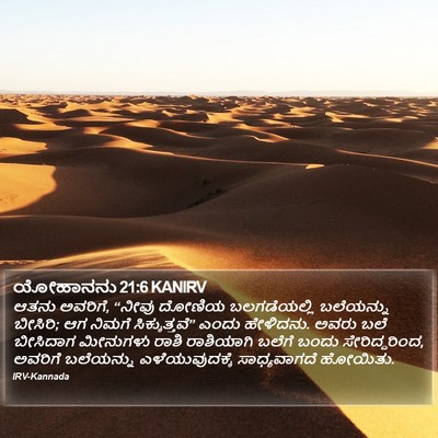 ಯೋಹಾನನು 21:6 KANIRV Bible Verse Image