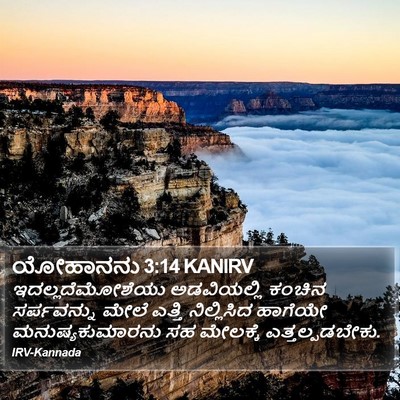 ಯೋಹಾನನು 3:14 KANIRV Bible Verse Image
