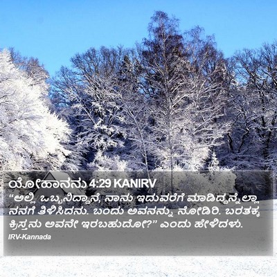 ಯೋಹಾನನು 4:29 KANIRV Bible Verse Image