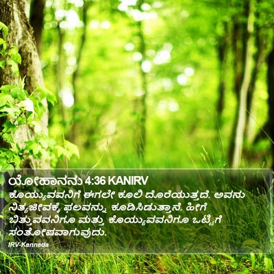 ಯೋಹಾನನು 4:36 KANIRV Bible Verse Image