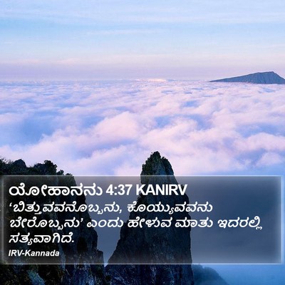 ಯೋಹಾನನು 4:37 KANIRV Bible Verse Image